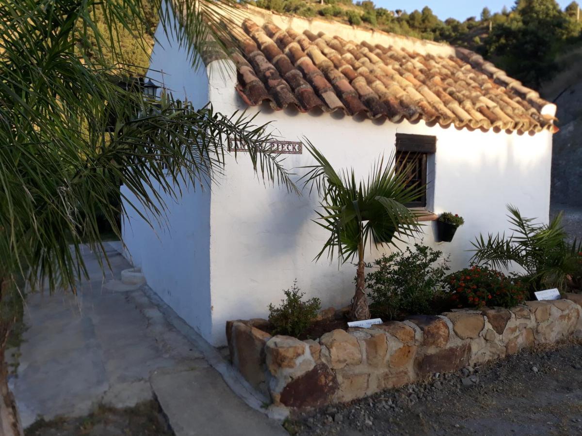 Tiny House 12M2 In Holiday Park With 55 M2 Pool Tolox Dış mekan fotoğraf